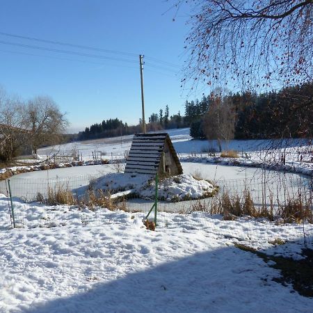Wellnesshotel Schiesselhof Grafenhausen Bagian luar foto