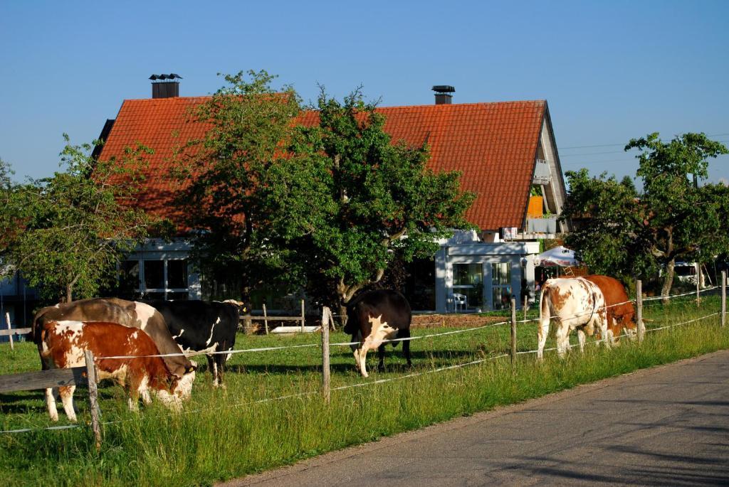 Wellnesshotel Schiesselhof Grafenhausen Ruang foto