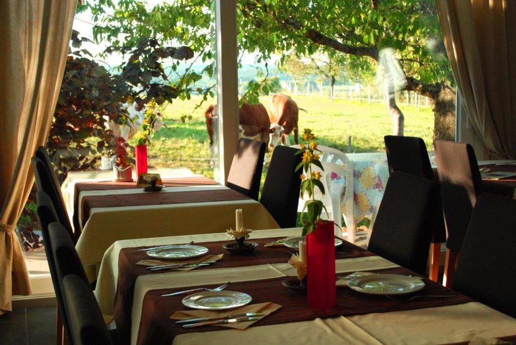 Wellnesshotel Schiesselhof Grafenhausen Ruang foto