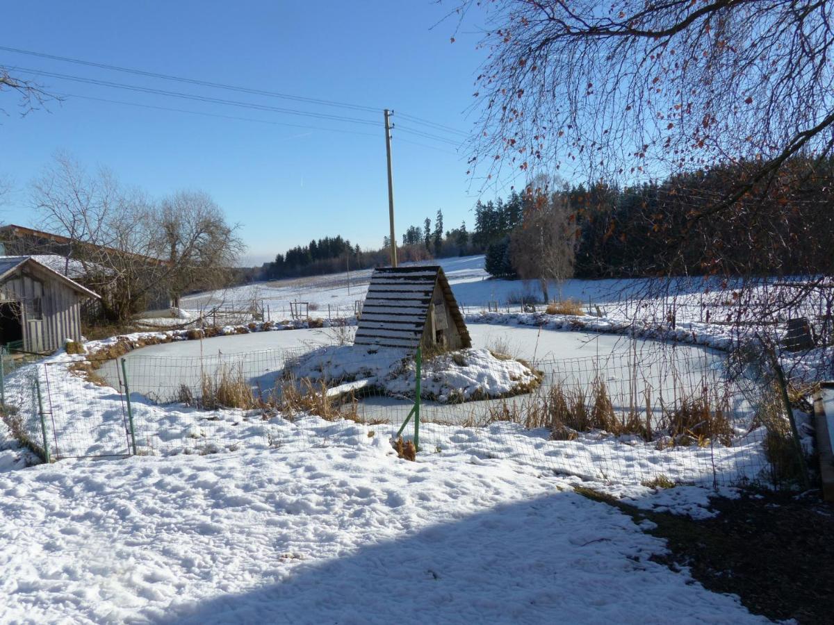 Wellnesshotel Schiesselhof Grafenhausen Bagian luar foto